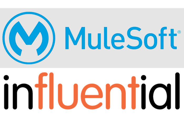 MuleSoft Partner | Best Value | Buyalicence UK