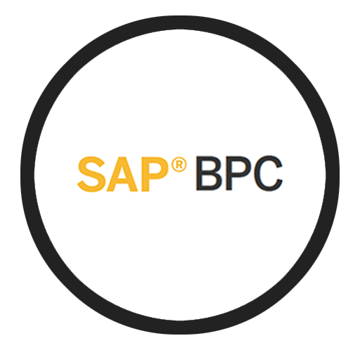 SAP BPC Partner Managed Cloud Solutions | Buyalicence UK