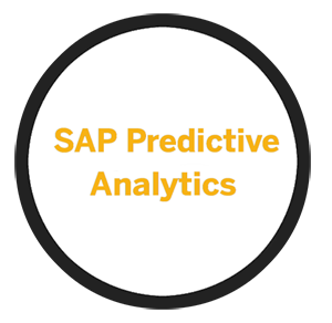 SAP Predictive Analytics Partner Managed Cloud Solutions | Buyalicence UK