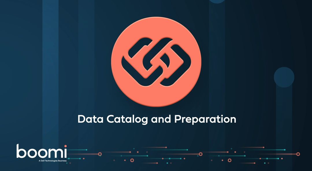 Enterprise Data Catalog and Preparation _ Boomi